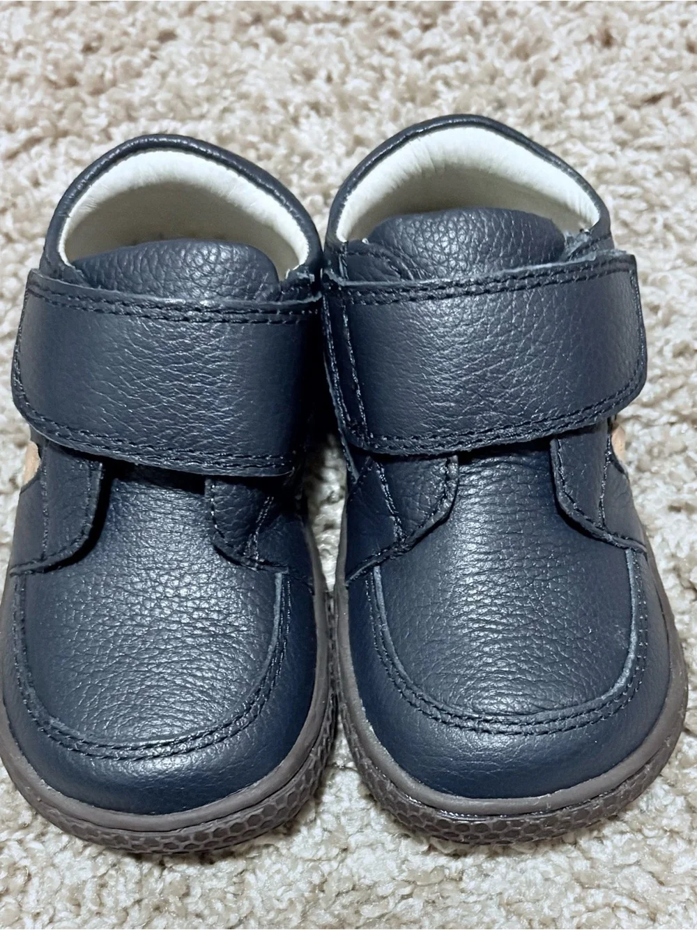 Livie & Luca Maverick Size 5 Toddler Navy